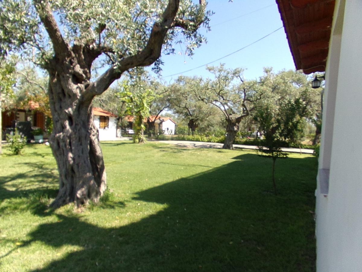 Villa Karapataki Skala Rachoni  Kamer foto