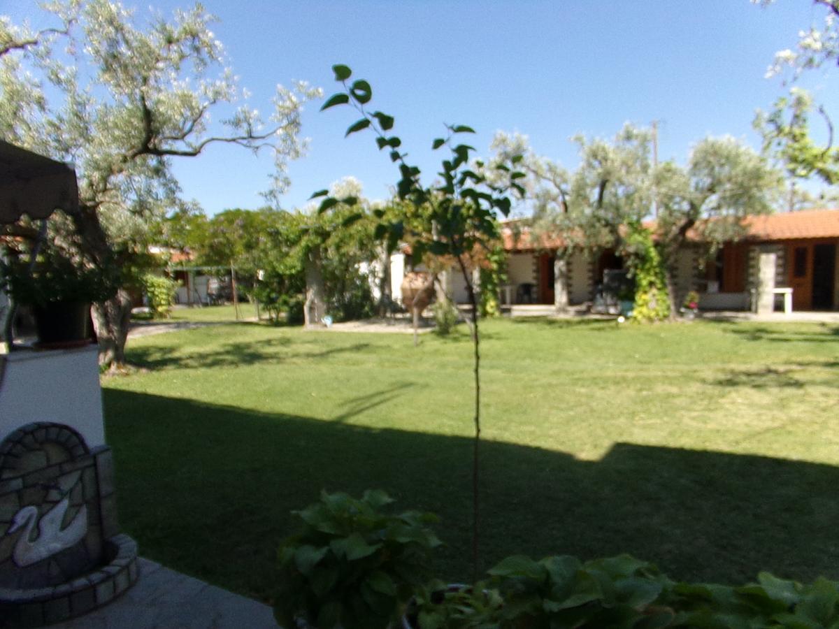 Villa Karapataki Skala Rachoni  Kamer foto
